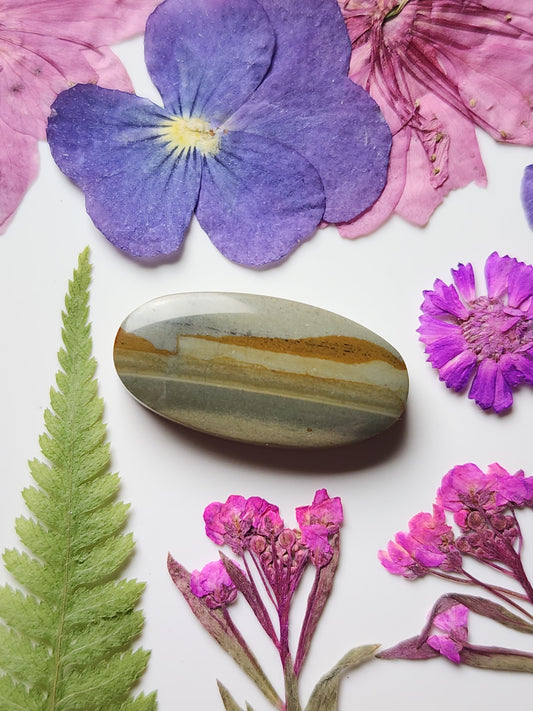 Succor Creek picture jasper