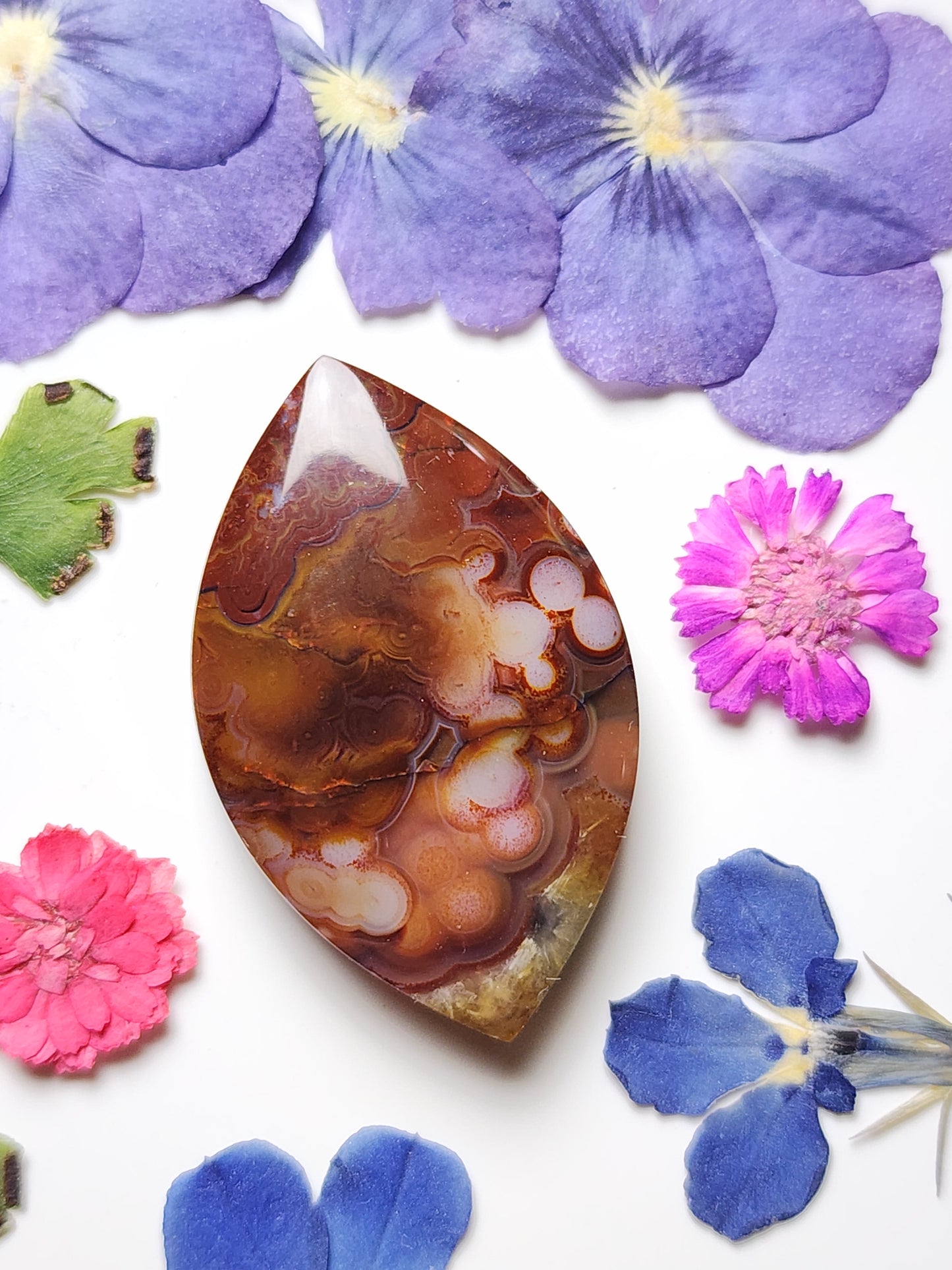 Rincon lace agate