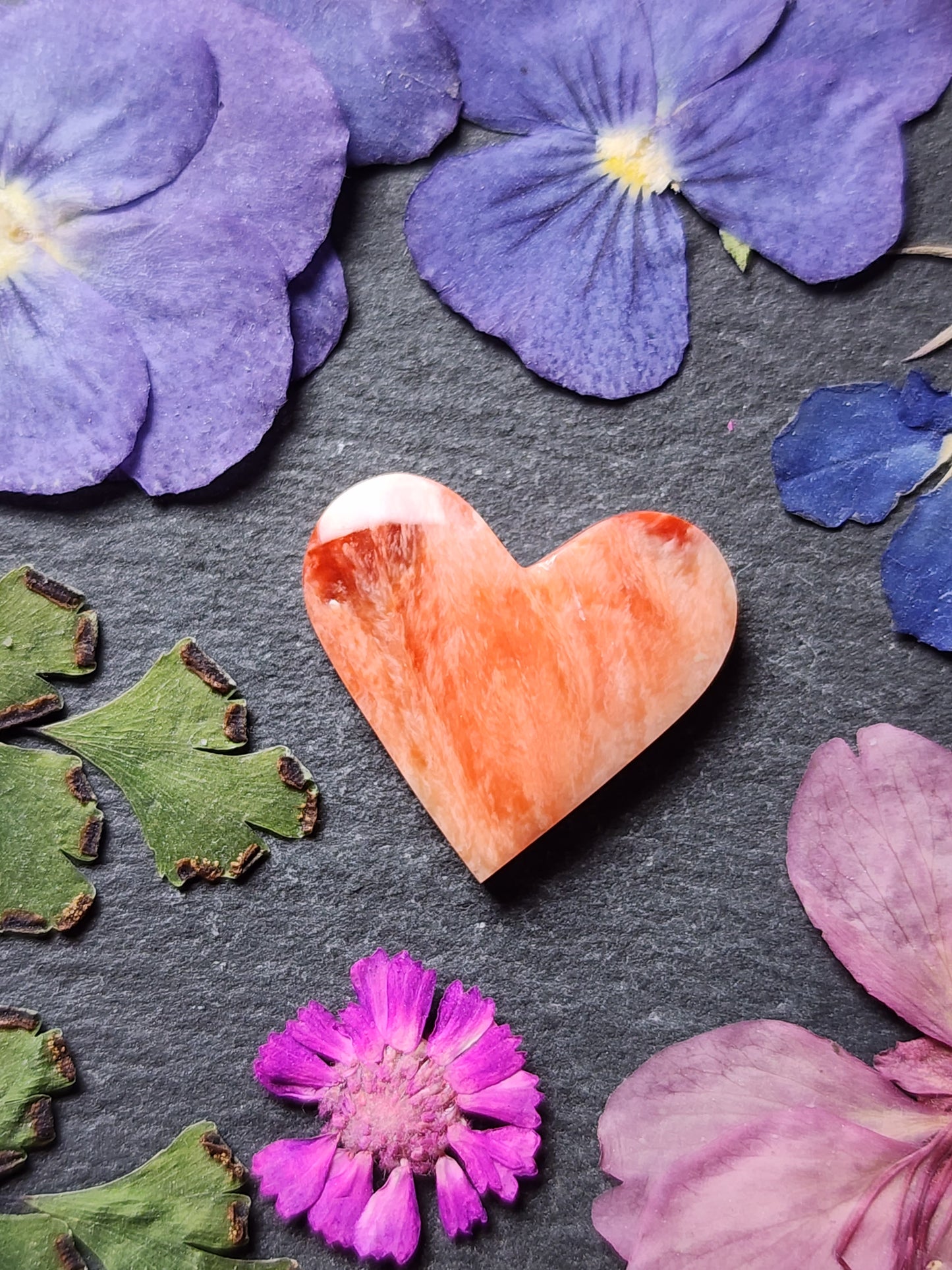 Spiny shell oyster heart