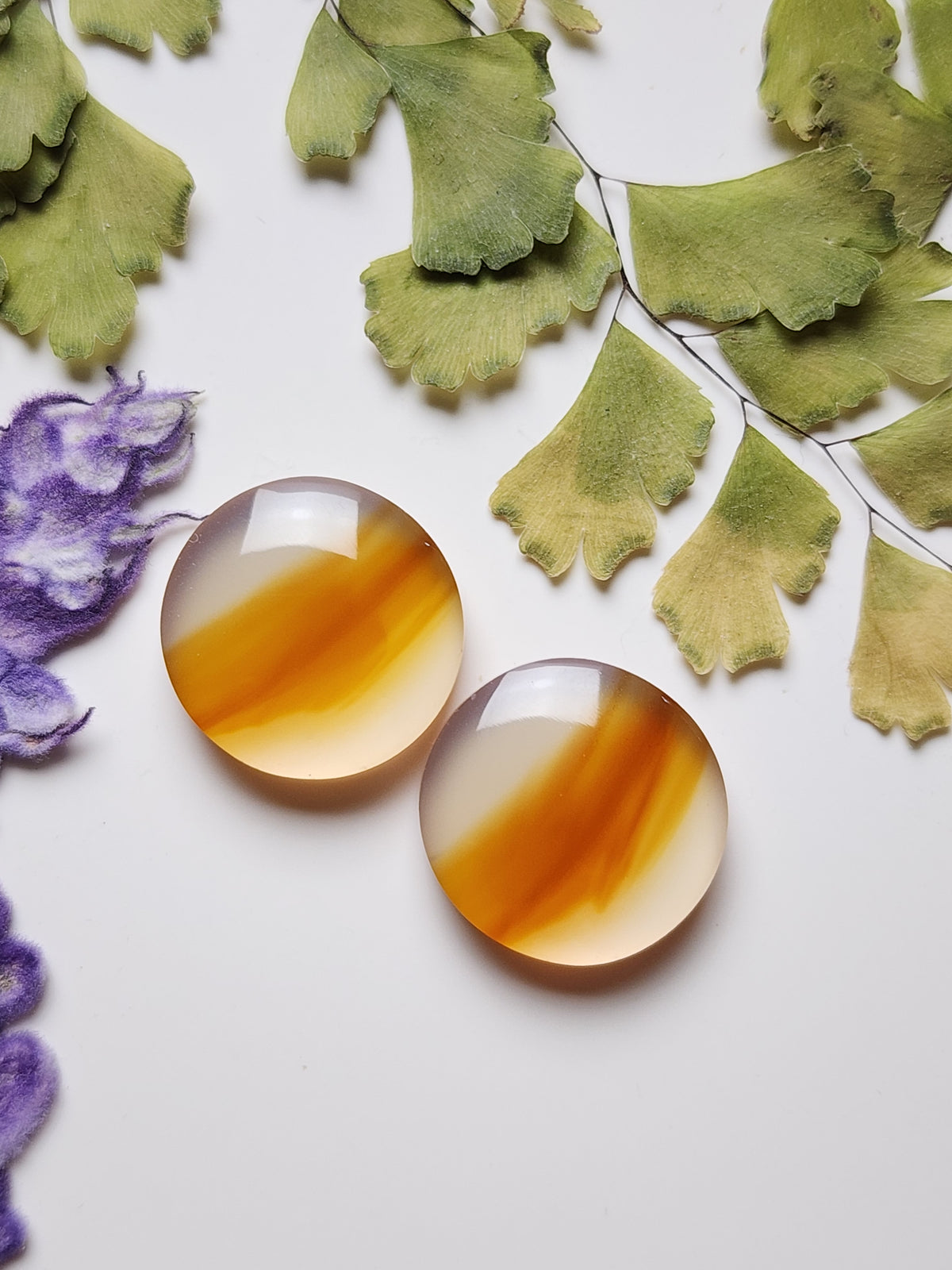 Montana agate pair