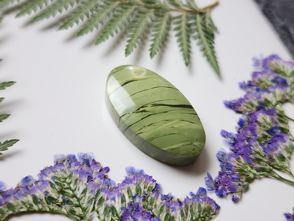 Morrisonite jasper