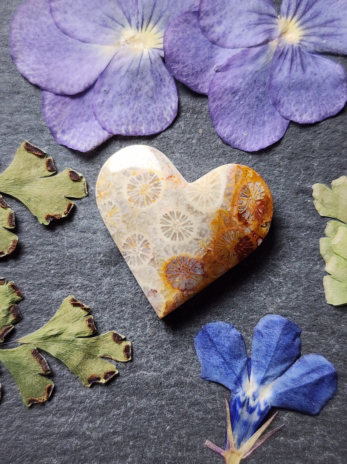Fossilized coral heart