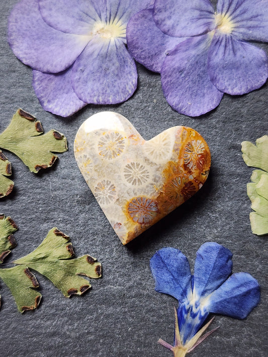 Fossilized coral heart