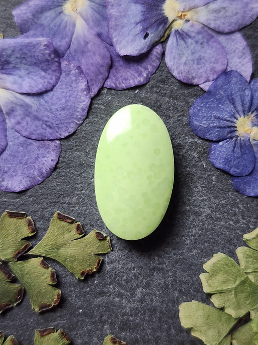 Citron/ Lemon Chrysoprase