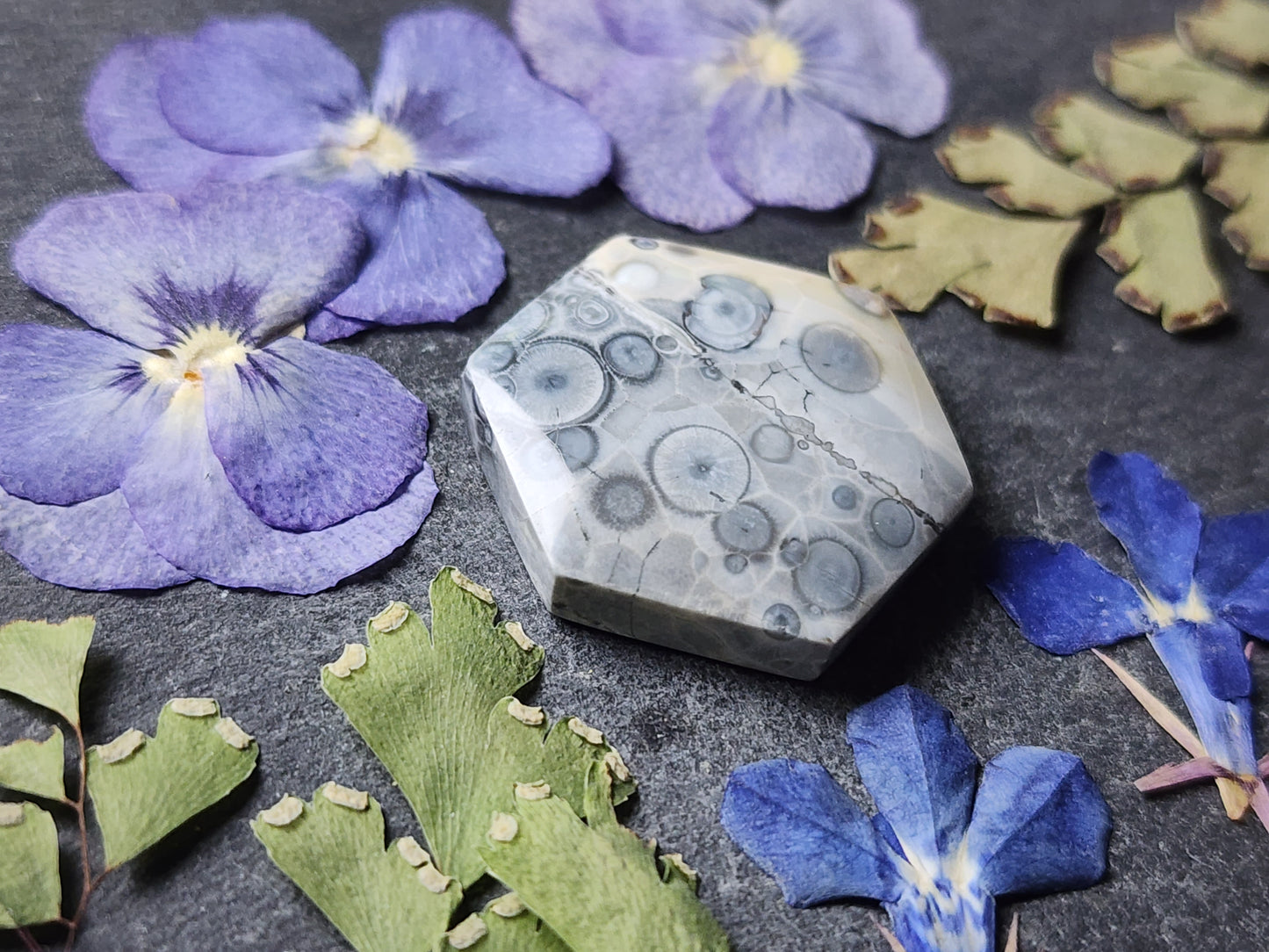Galaxy Rhyolite