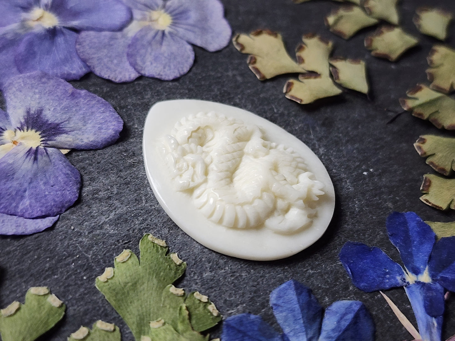Coiled Dragon