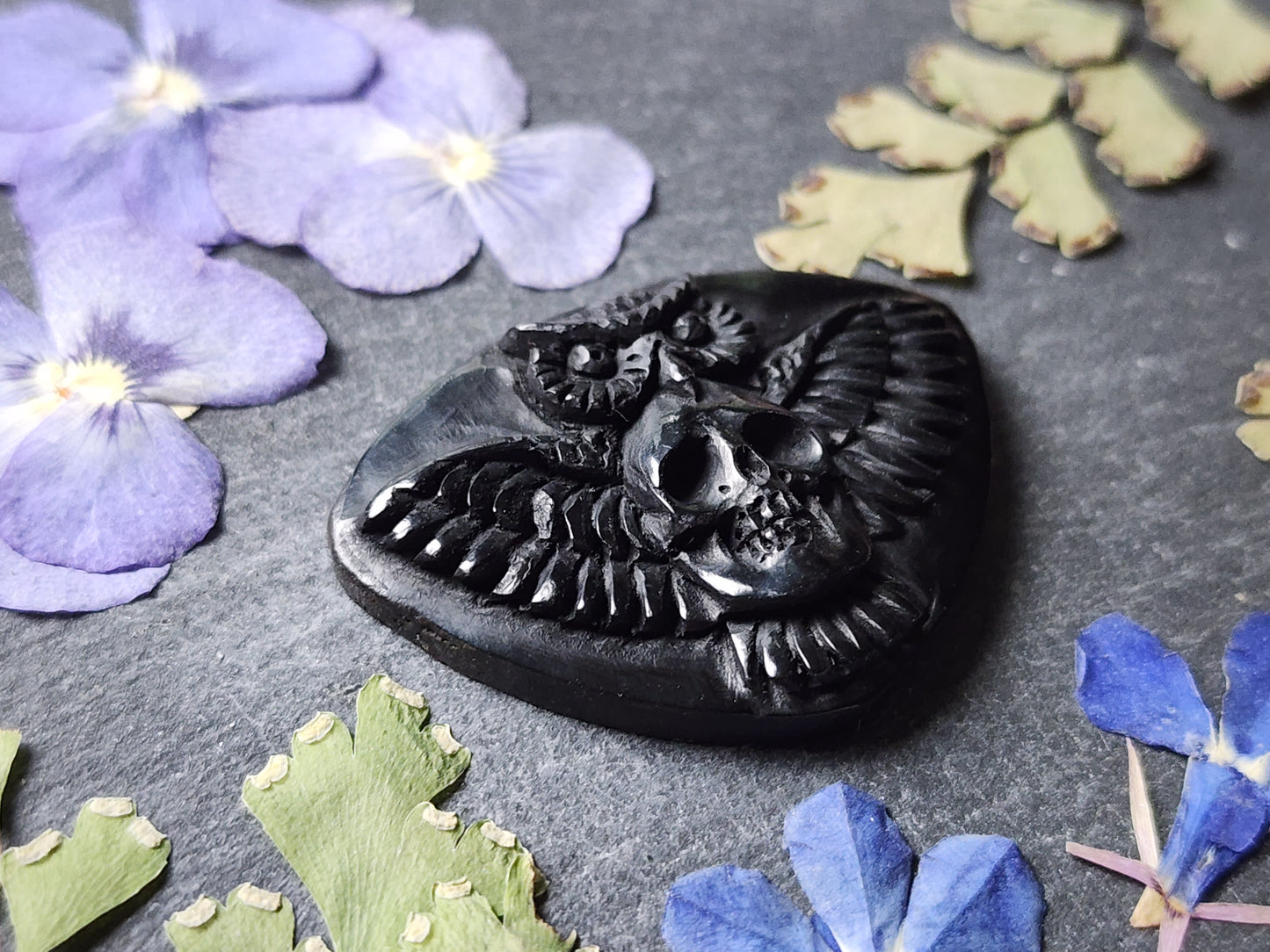 Owl & Skull