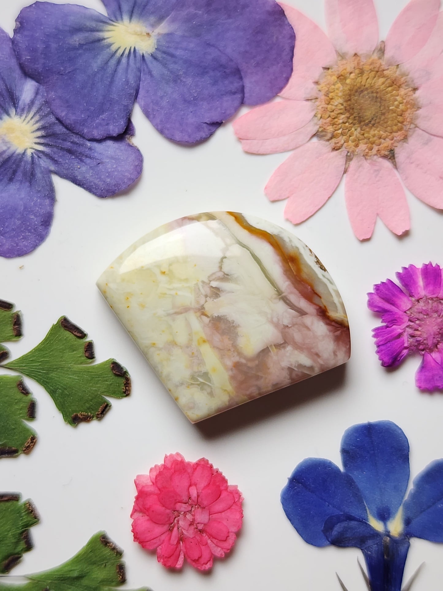 Willow Creek jasper