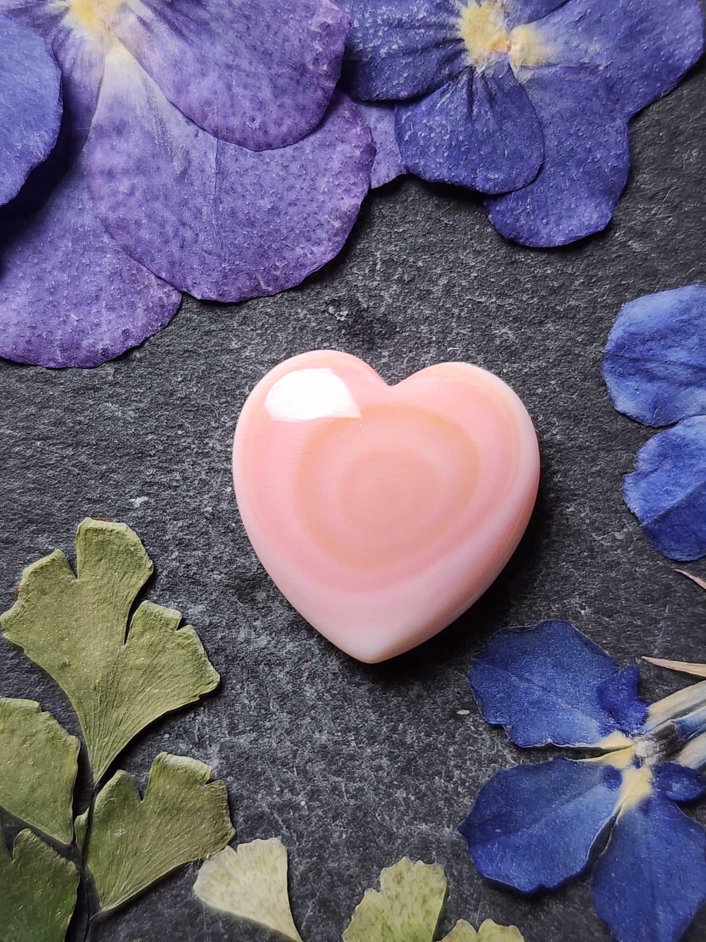 Pink Conch shell heart