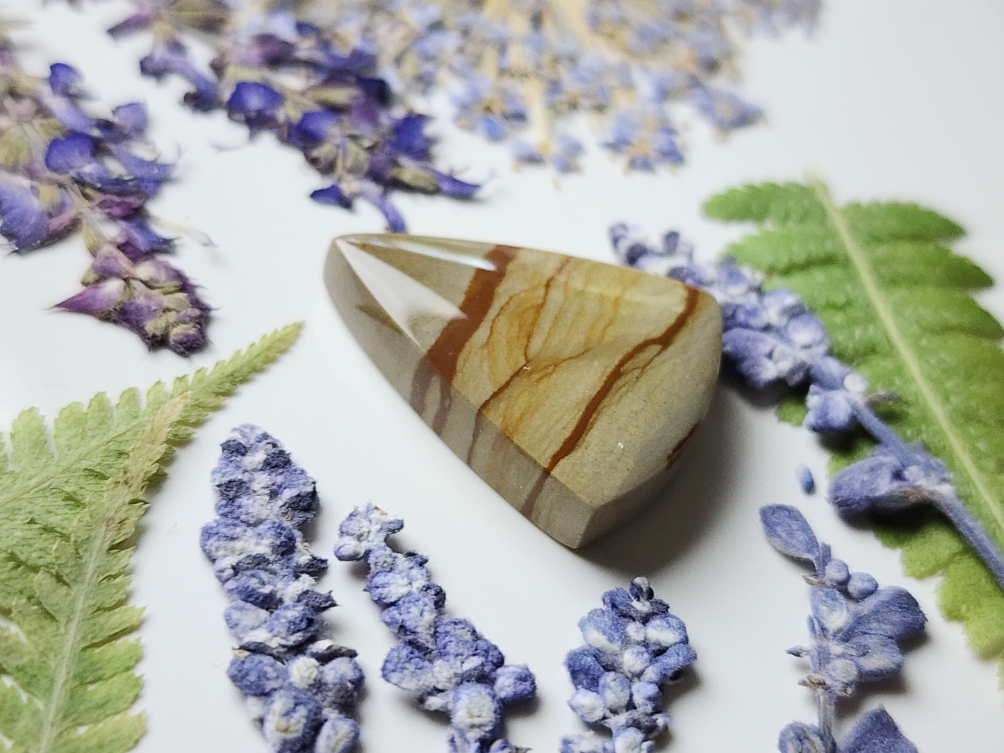 Cripple Creek picture jasper