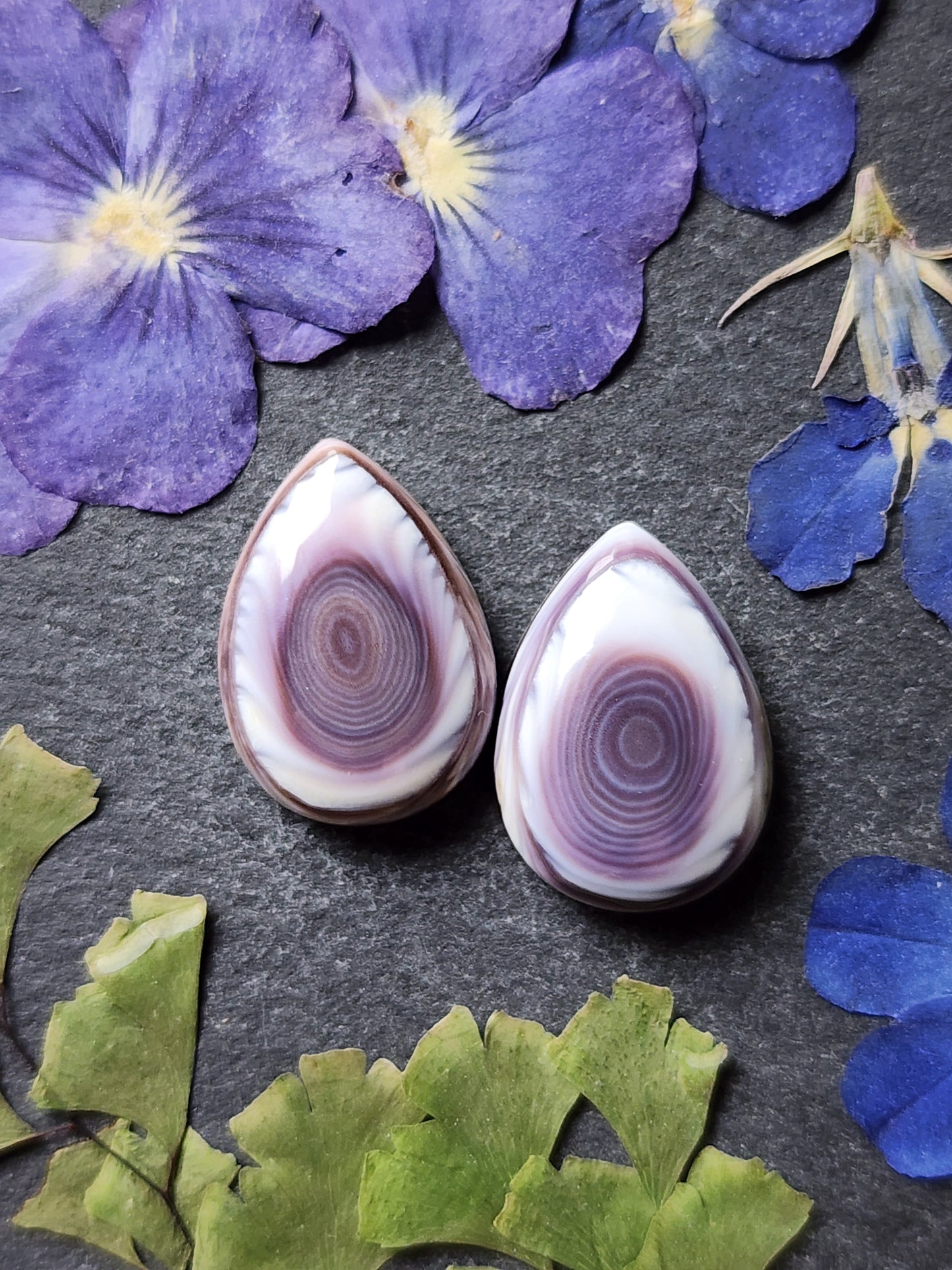 Wampum shell pair