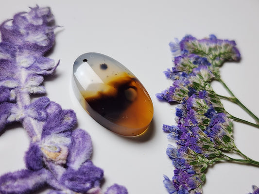 Montana agate