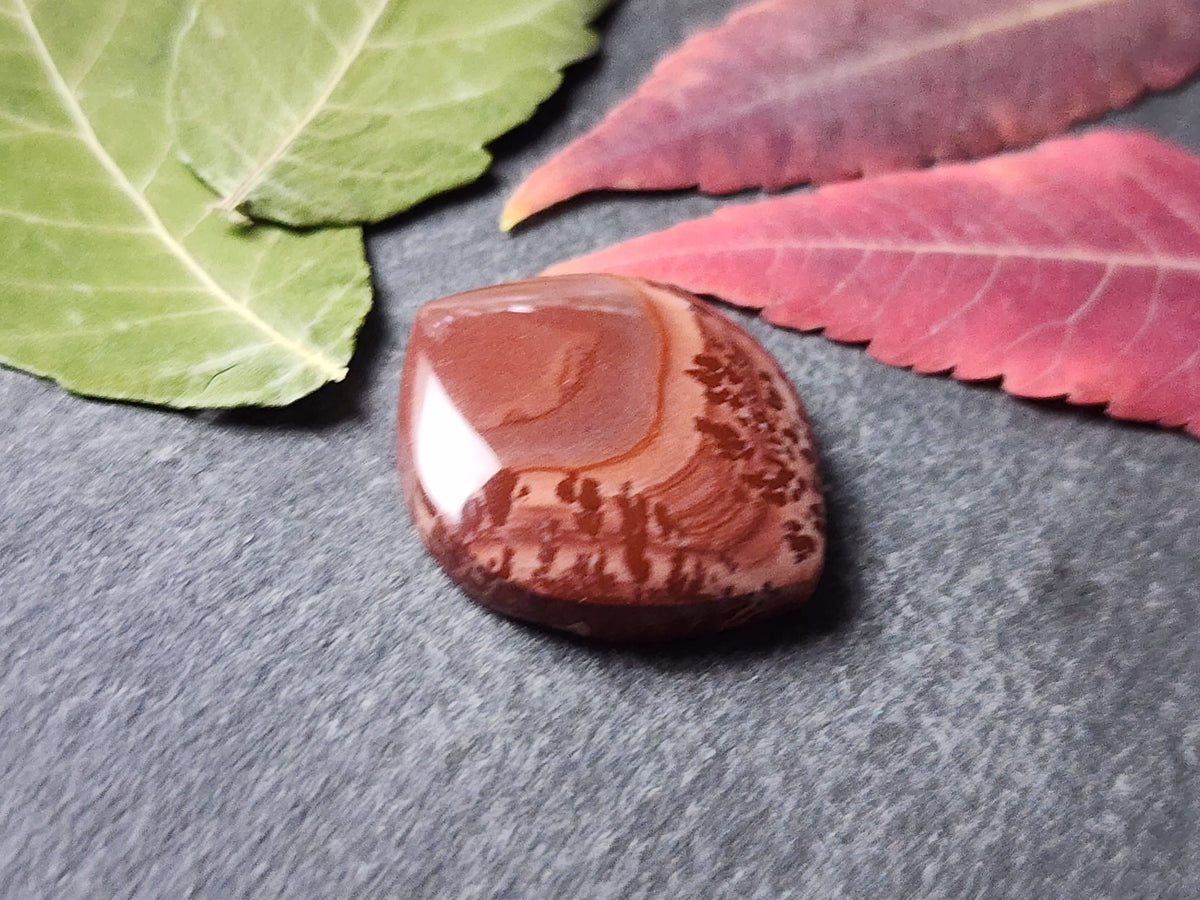 Mimbres Valley Apache Dendritic Rhyolite