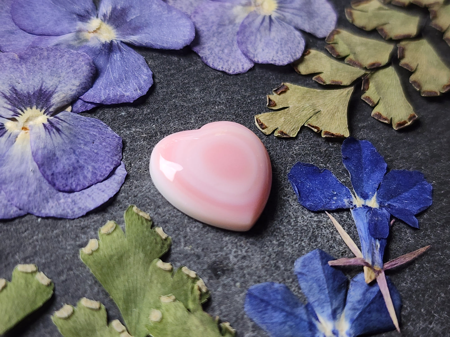 Pink Conch shell heart