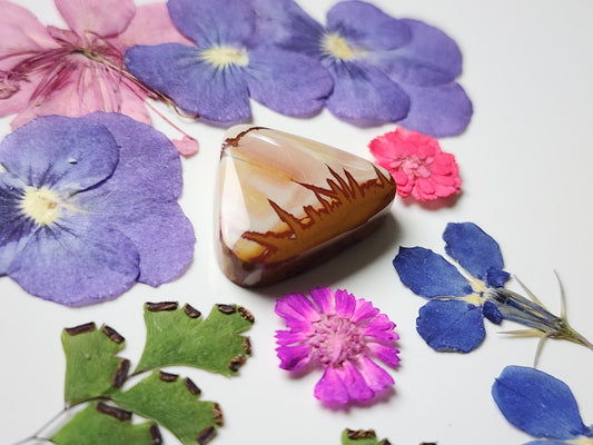 Red Falcon jasper