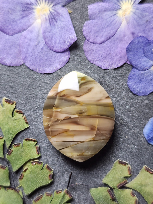 Royal Imperial jasper
