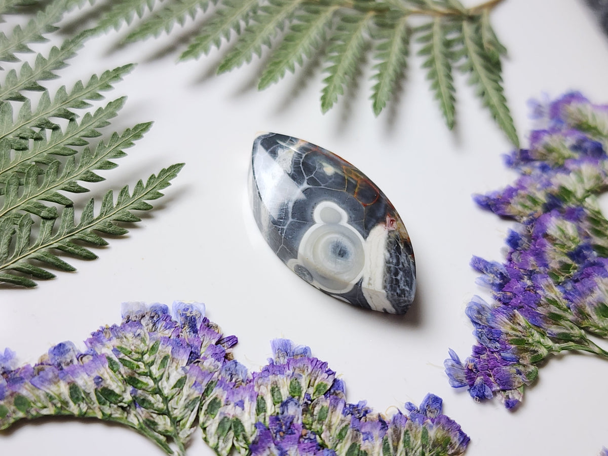 Galaxy Rhyolite