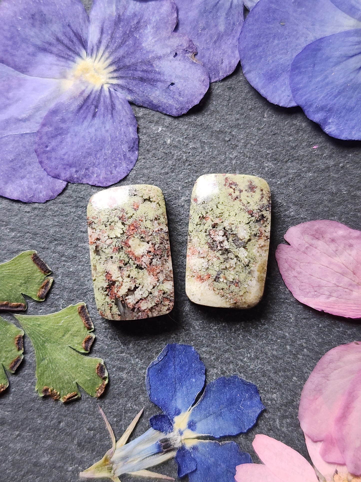 Garden Moss agate pair