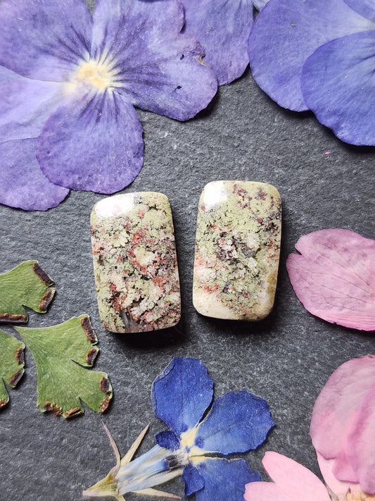 Garden Moss agate pair