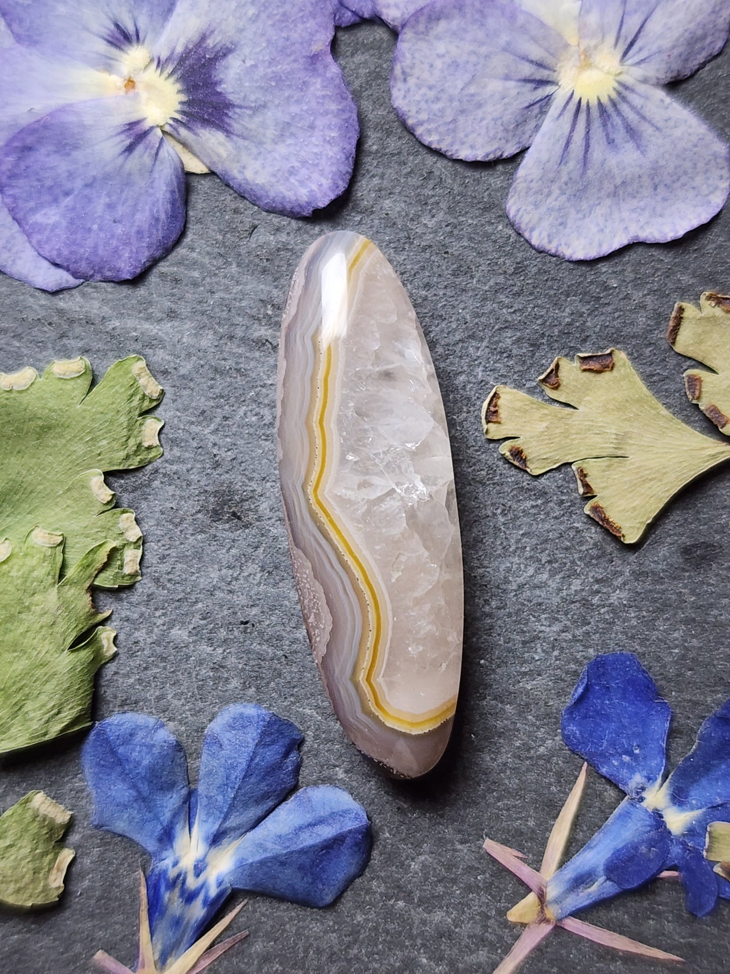 Agua Nueva agate