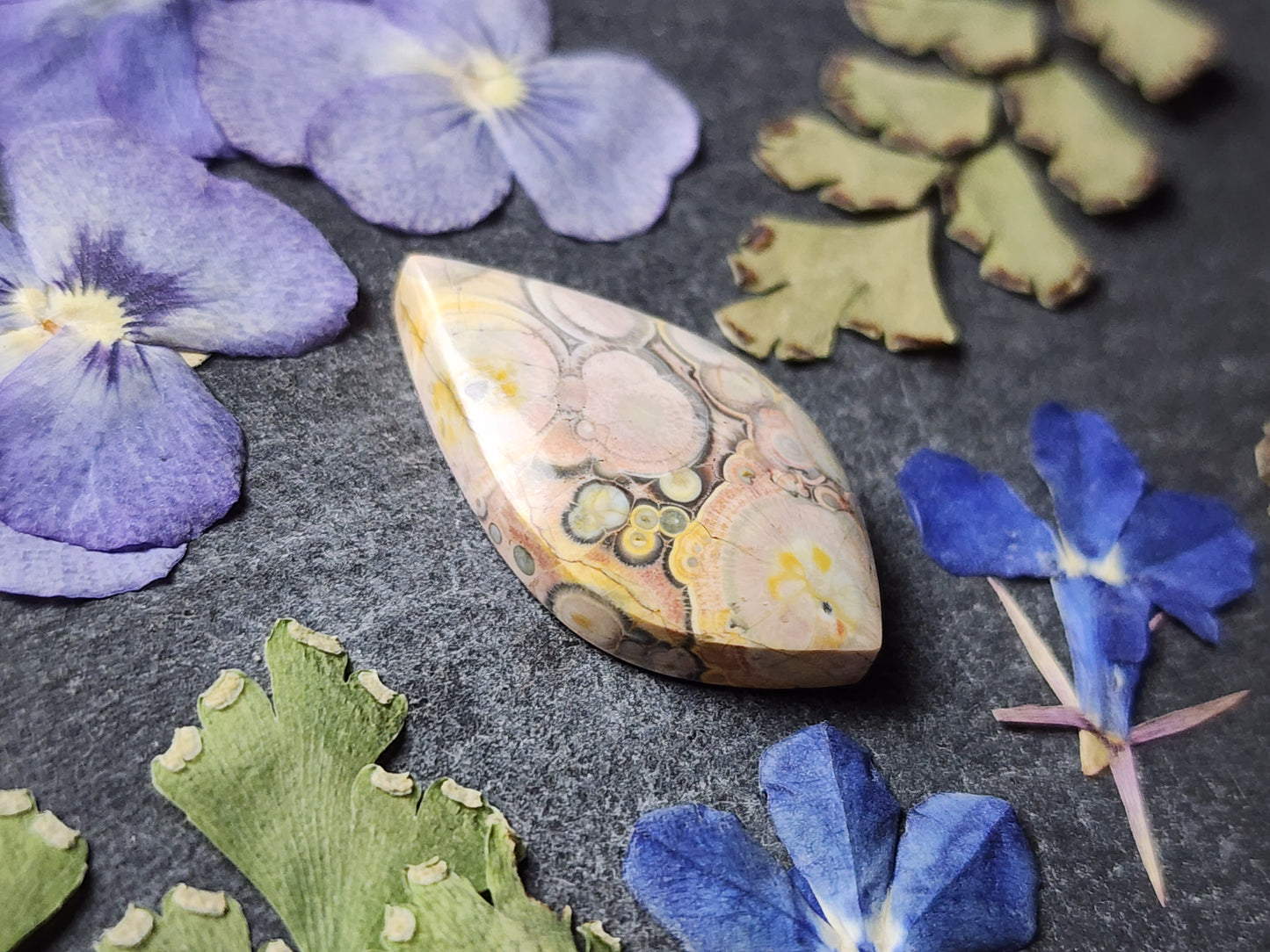 Galaxy Rhyolite