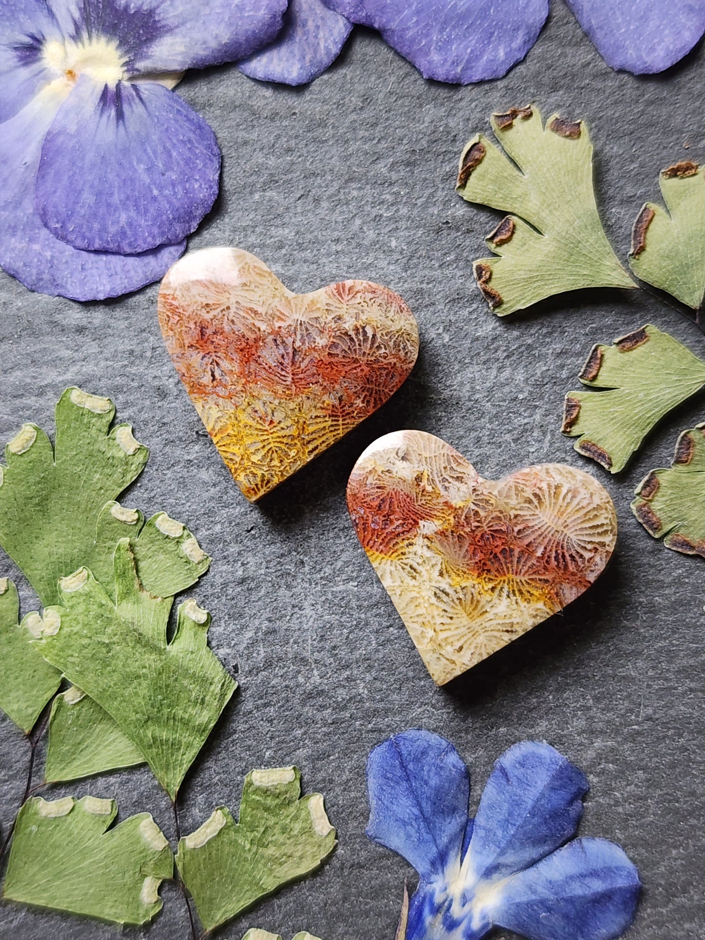 Fossilized coral heart pair