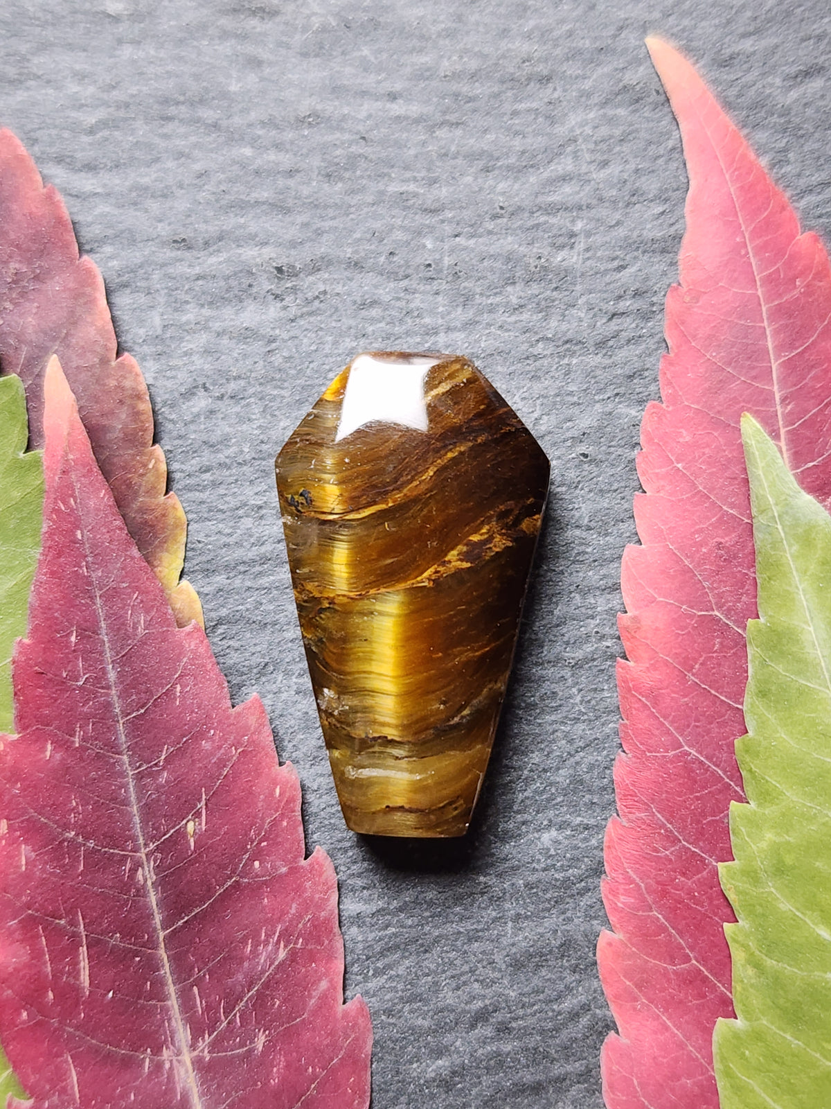 Tiger's eye coffin