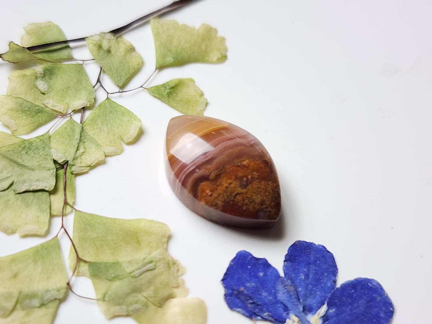 Agua Nueva agate