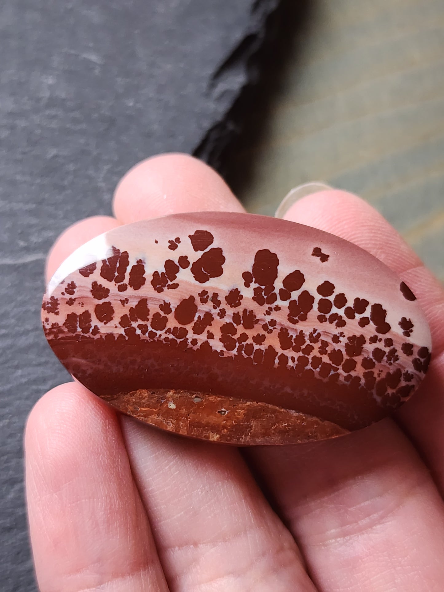 Mimbres Valley Apache Dendritic Rhyolite