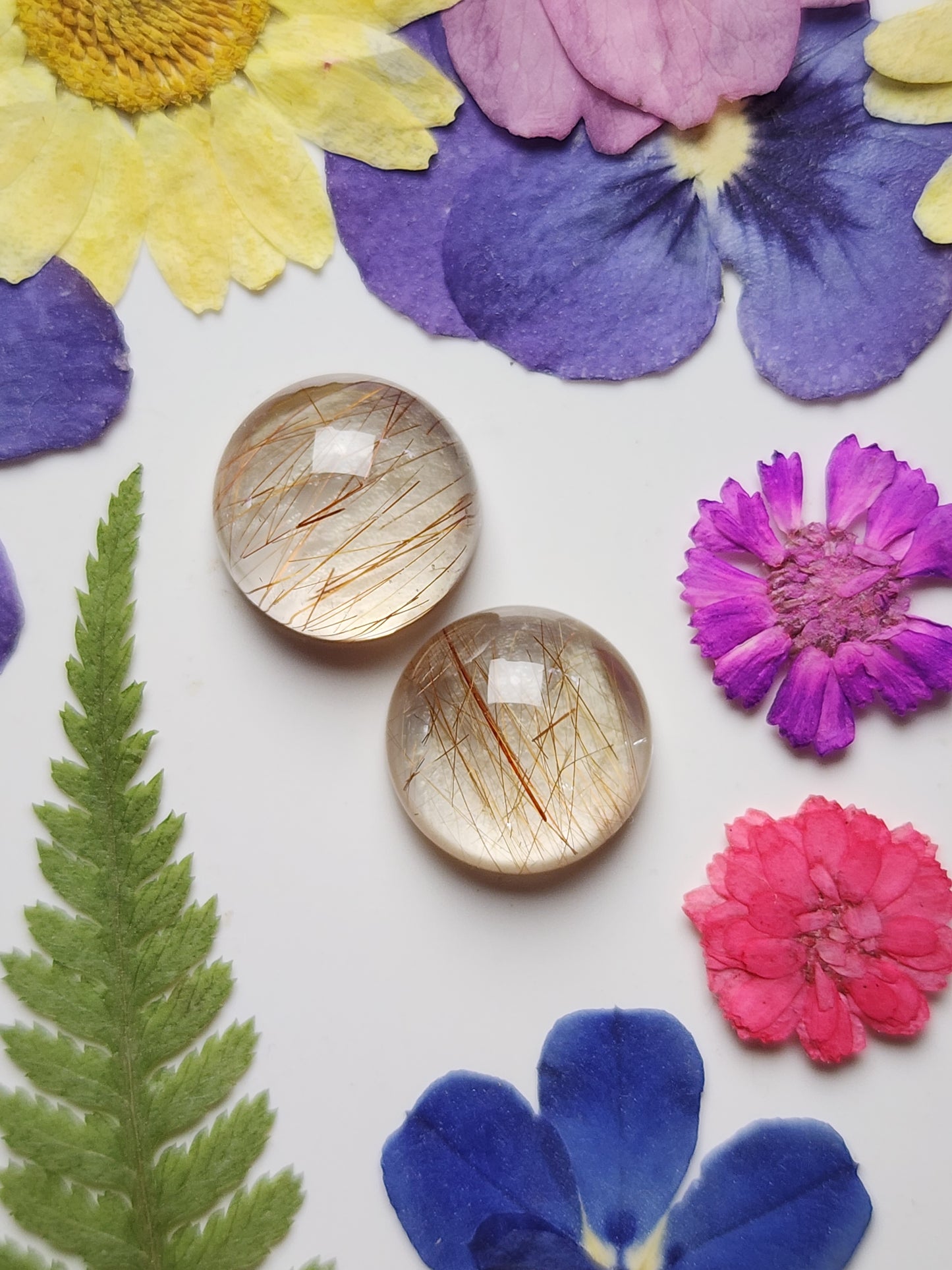 Rutilated quartz pair