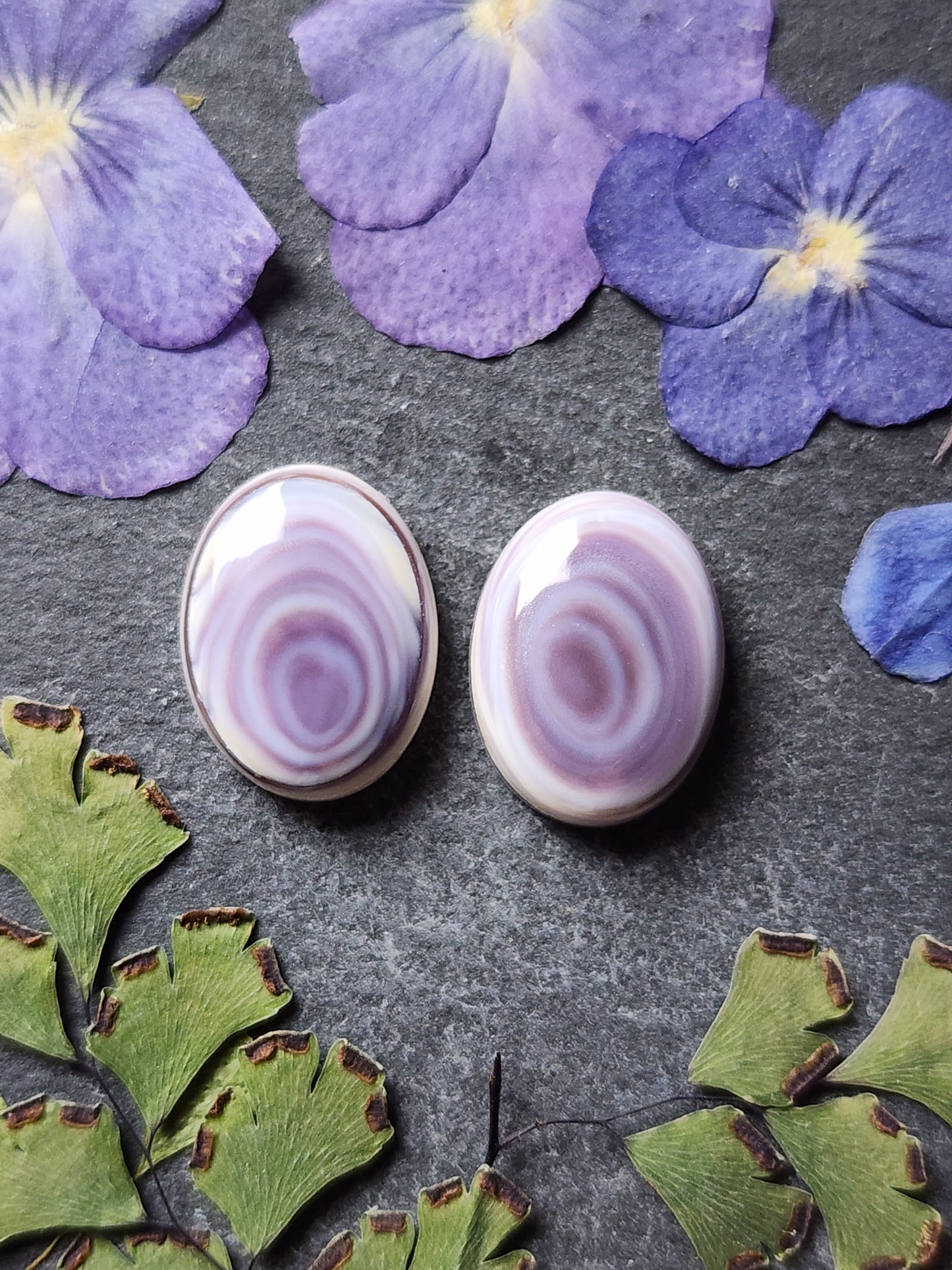 Wampum shell pair