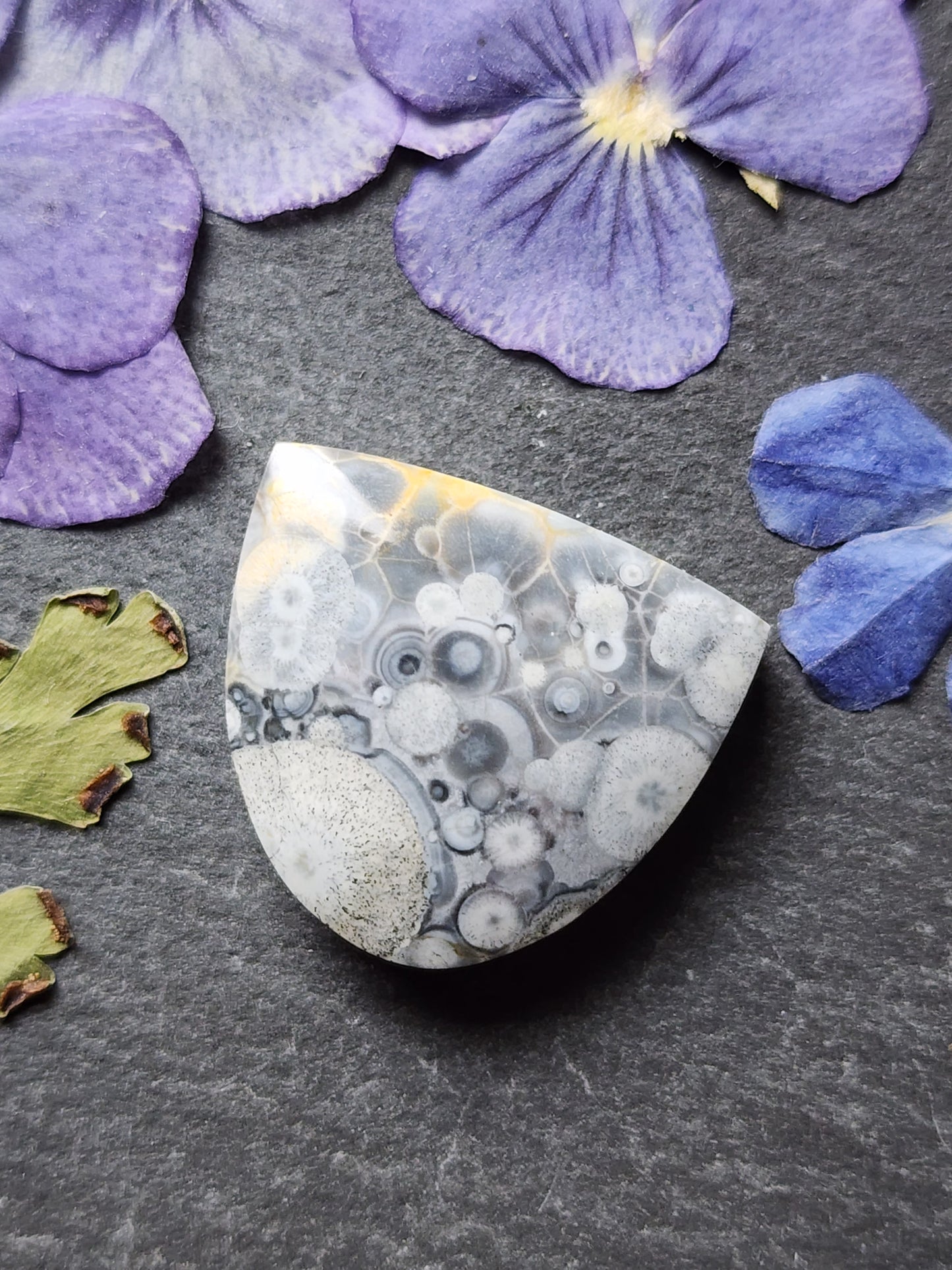 Galaxy Rhyolite