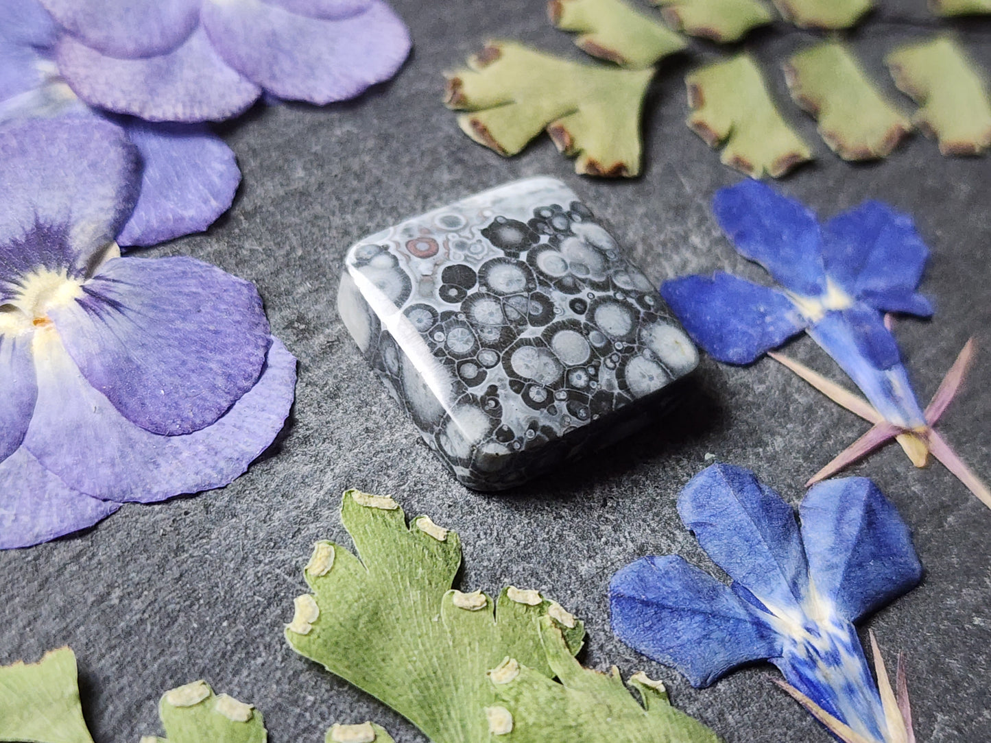 Galaxy Rhyolite