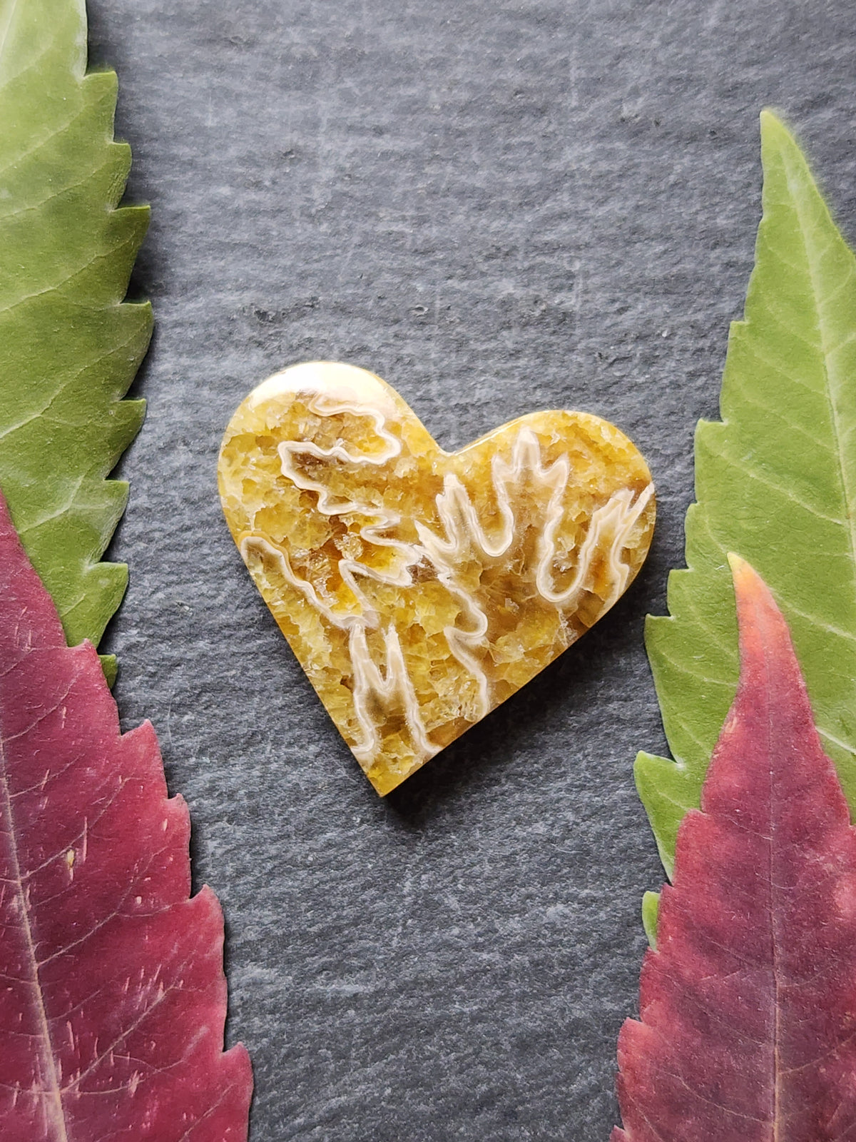 Suture Ammonite heart