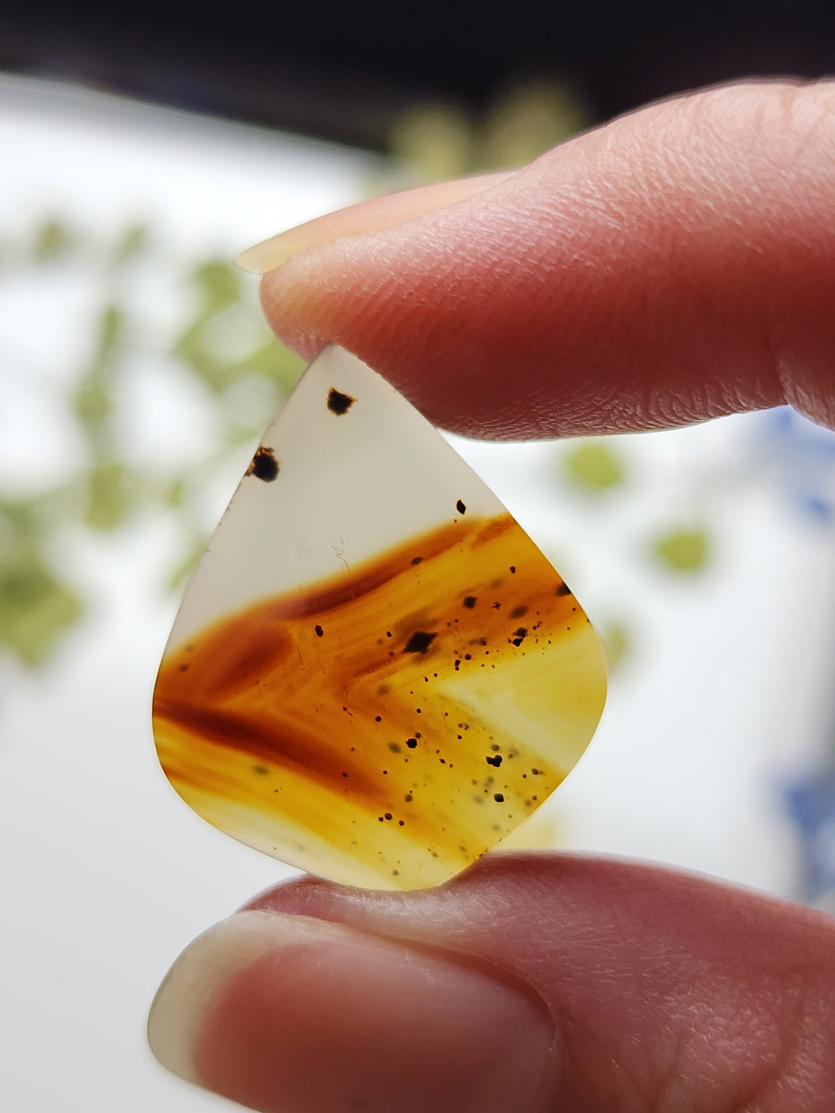 Montana agate