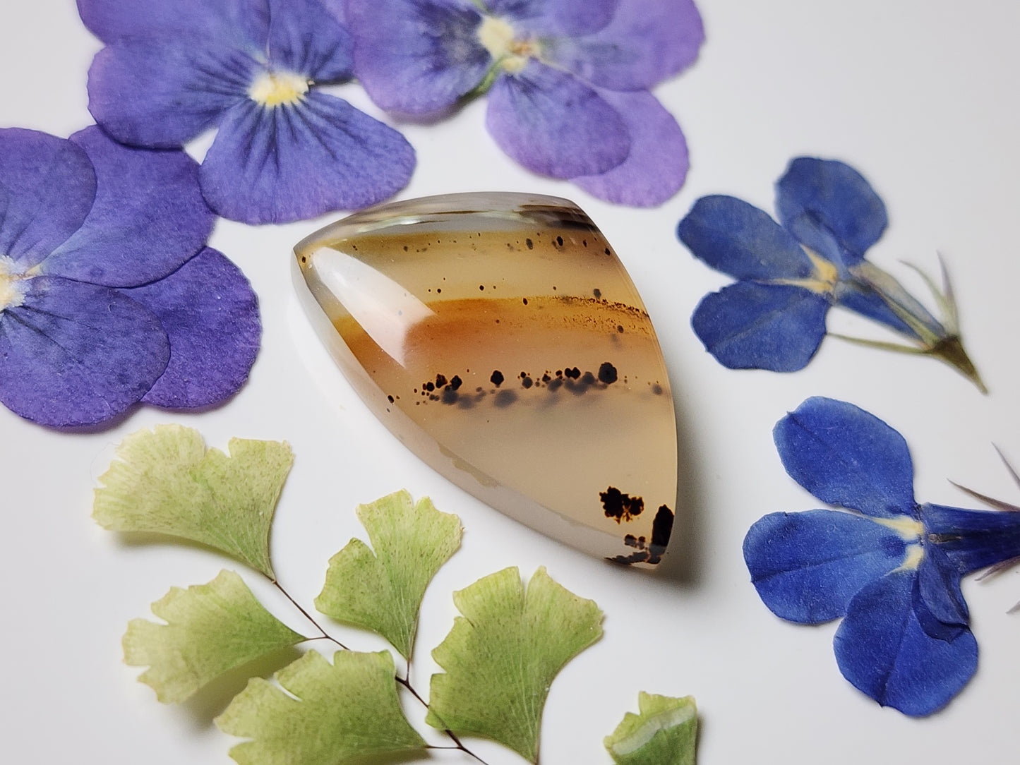 Montana agate