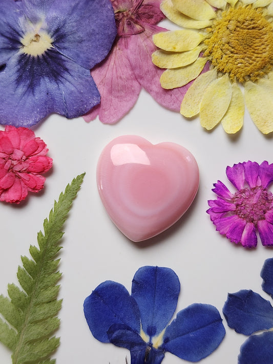 Pink Conch shell heart