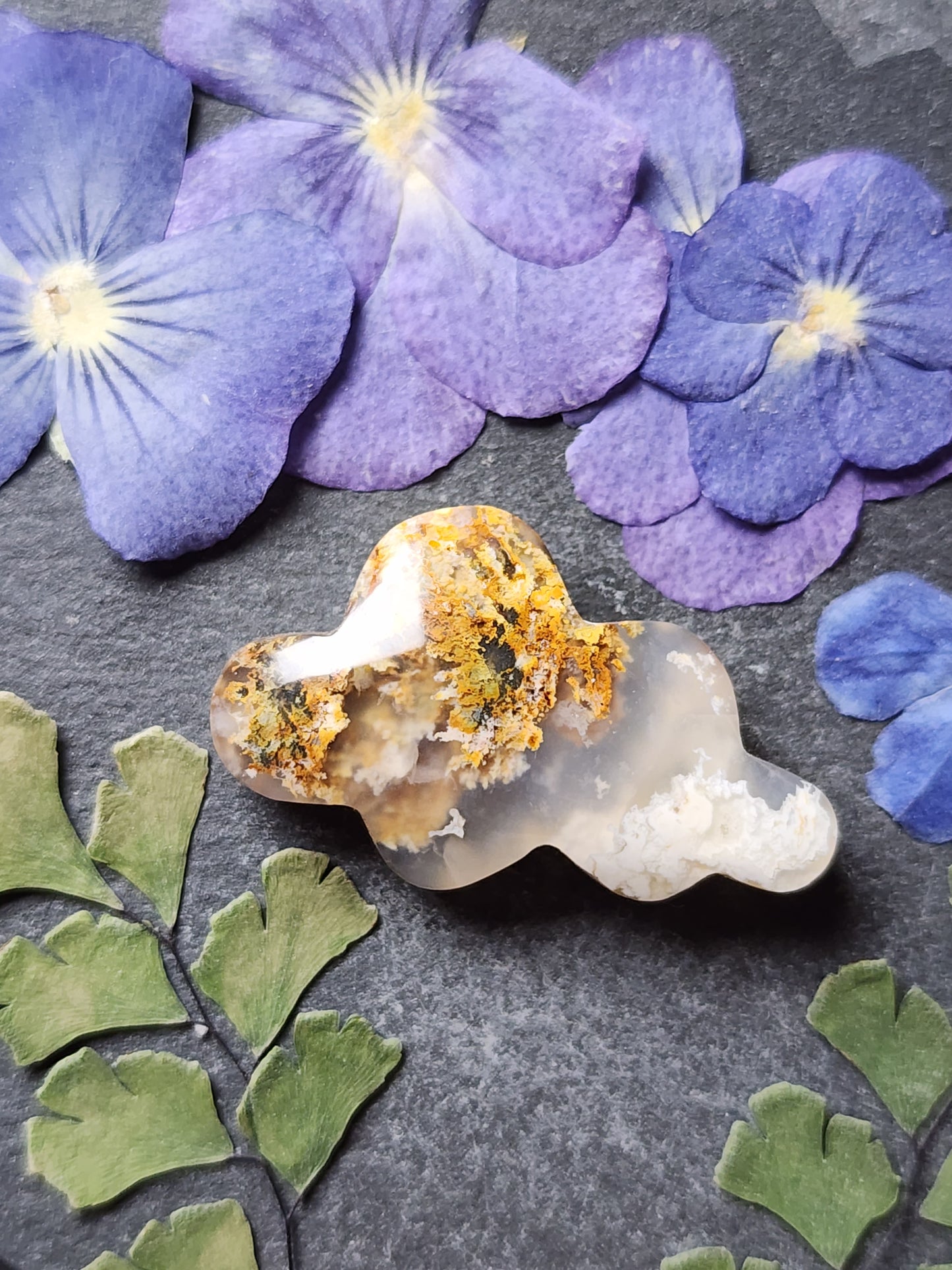North ridge plume agate Cloud