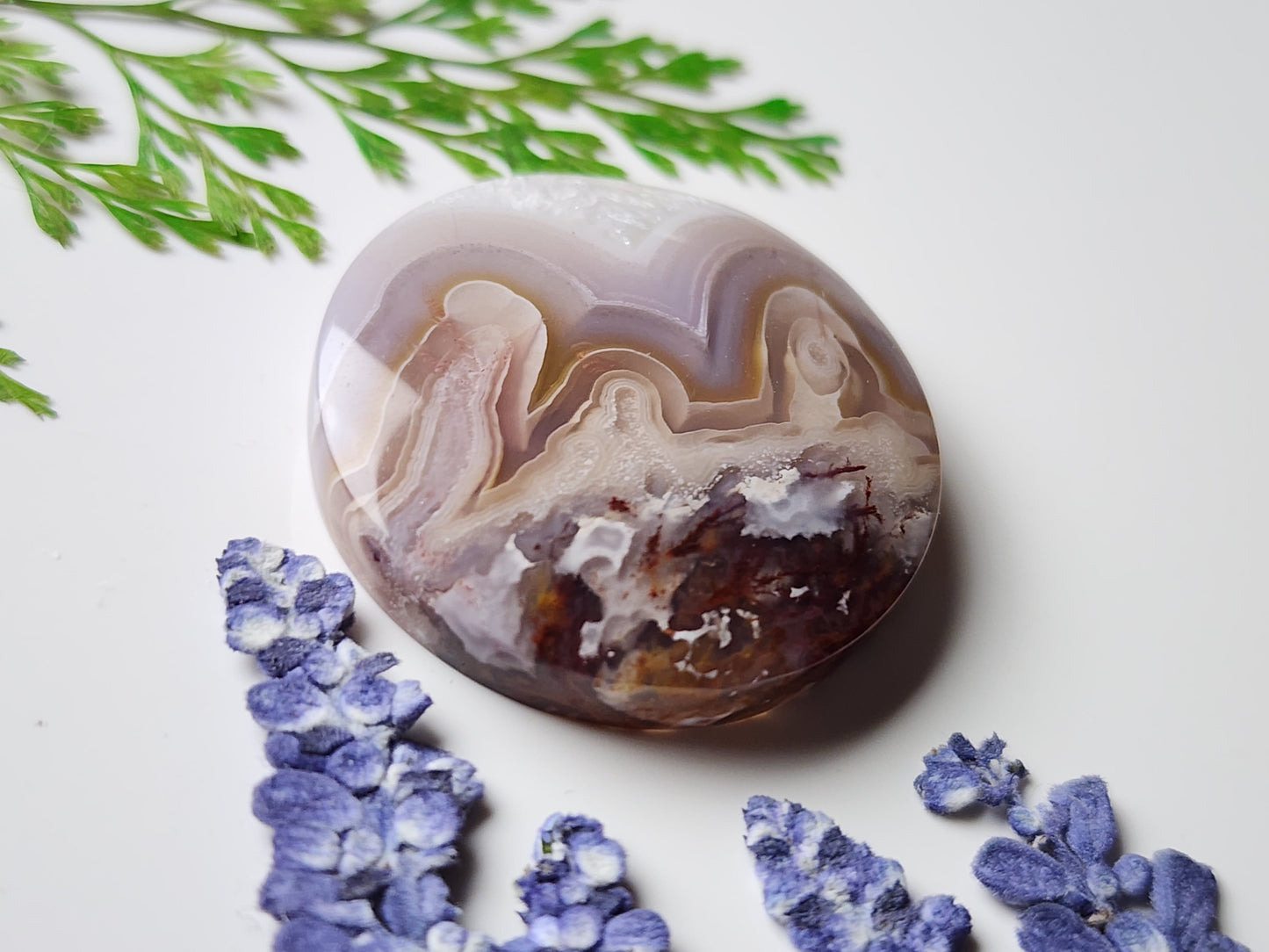 Agua Nueva agate