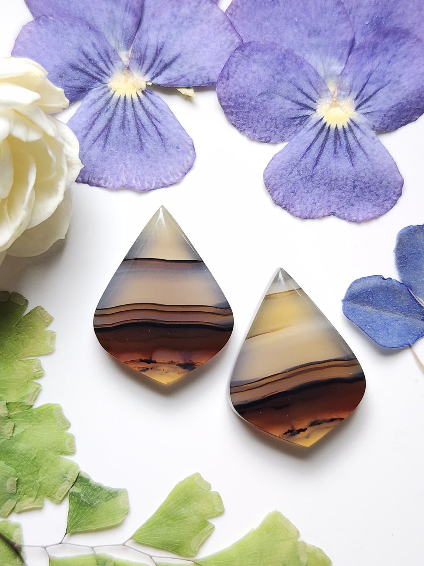 Montana agate pair