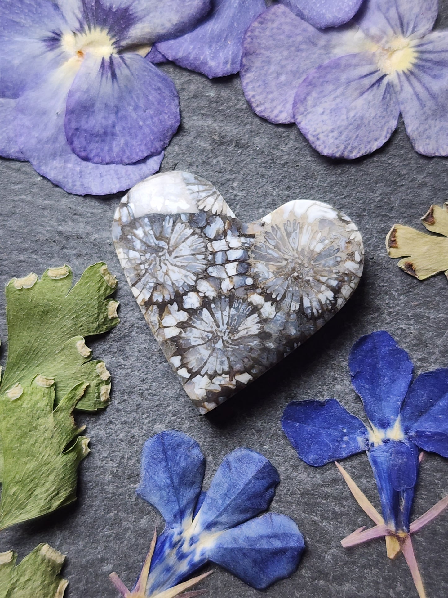 Fossilized coral heart
