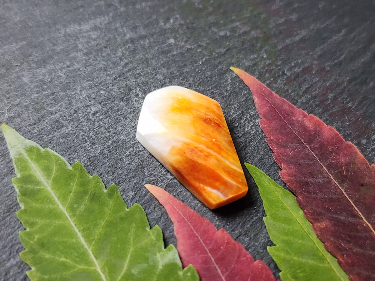 Spiny shell oyster coffin
