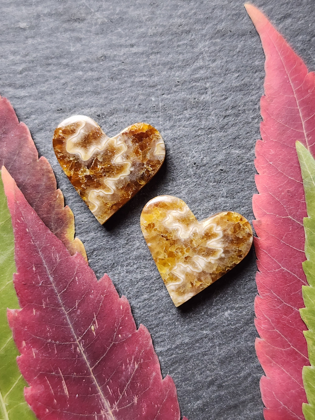 Suture Ammonite heart pair