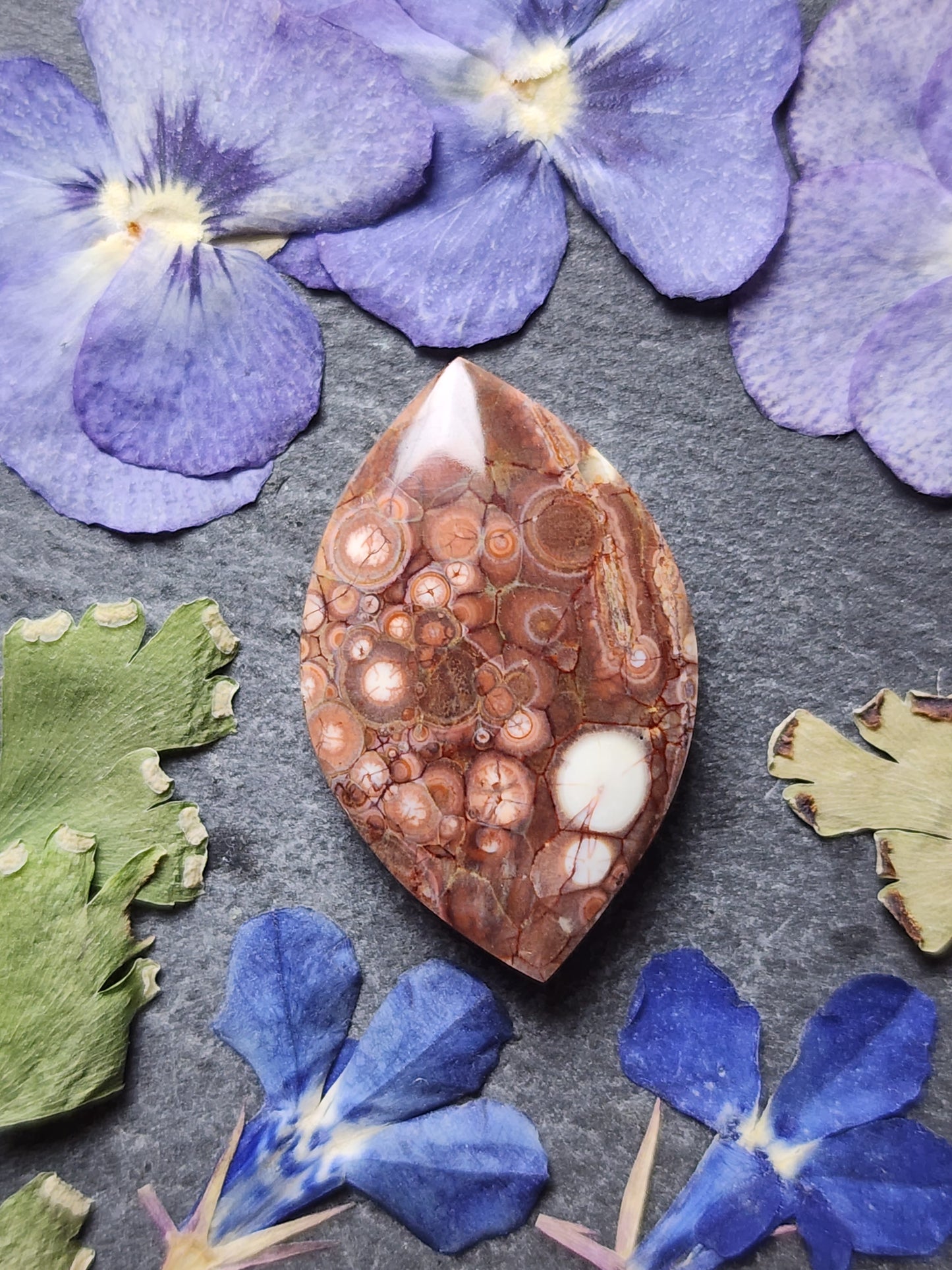 Galaxy Rhyolite