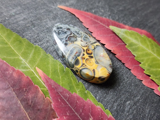 Galaxy Rhyolite