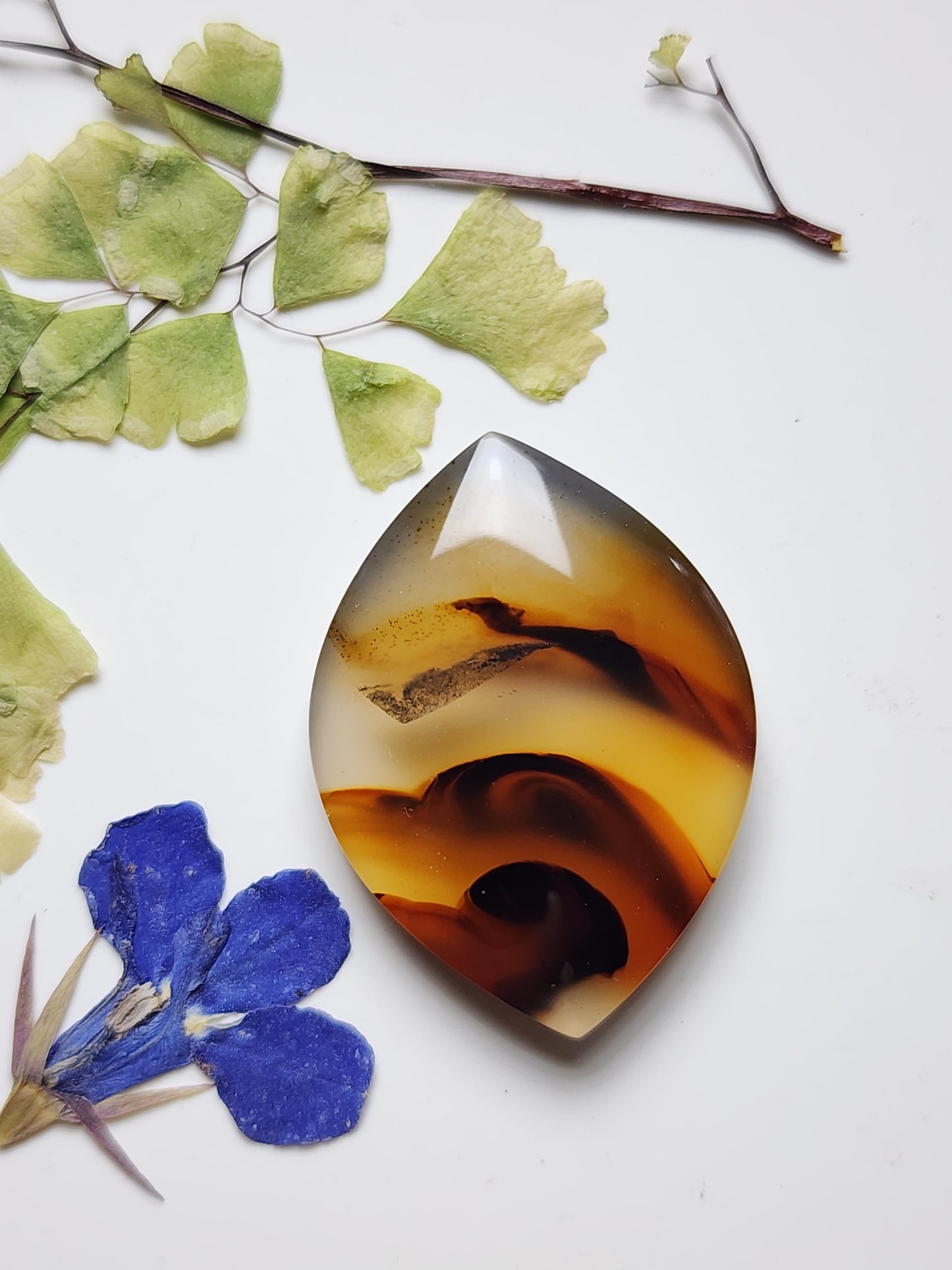 Montana agate