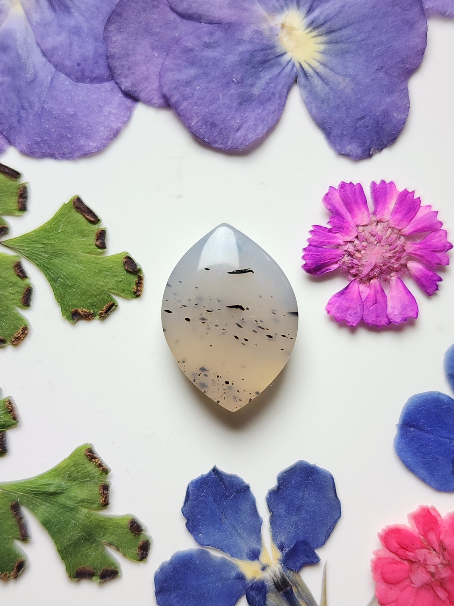 Montana agate