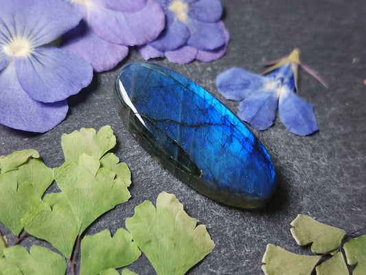 Labradorite