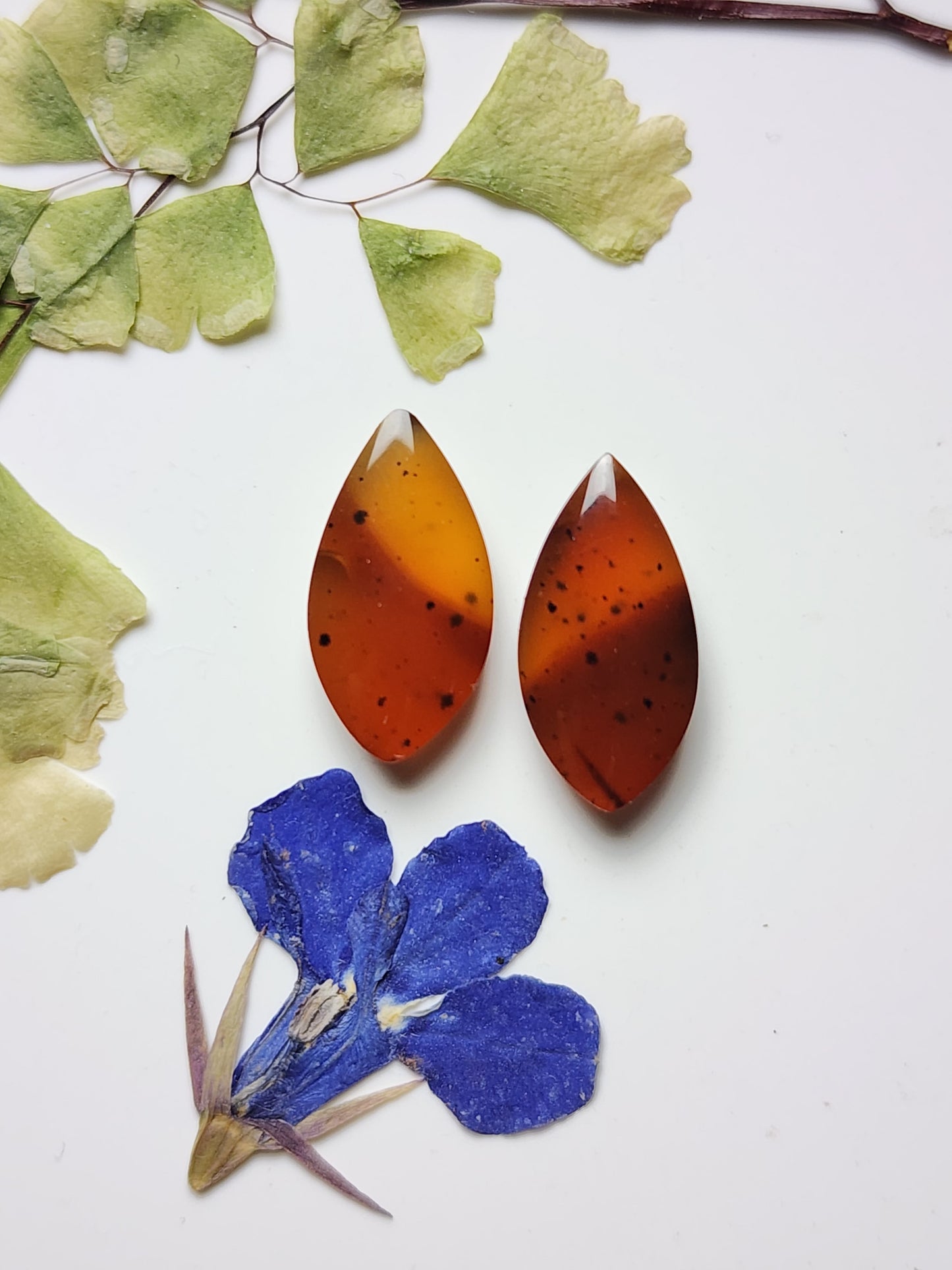 Montana agate pair