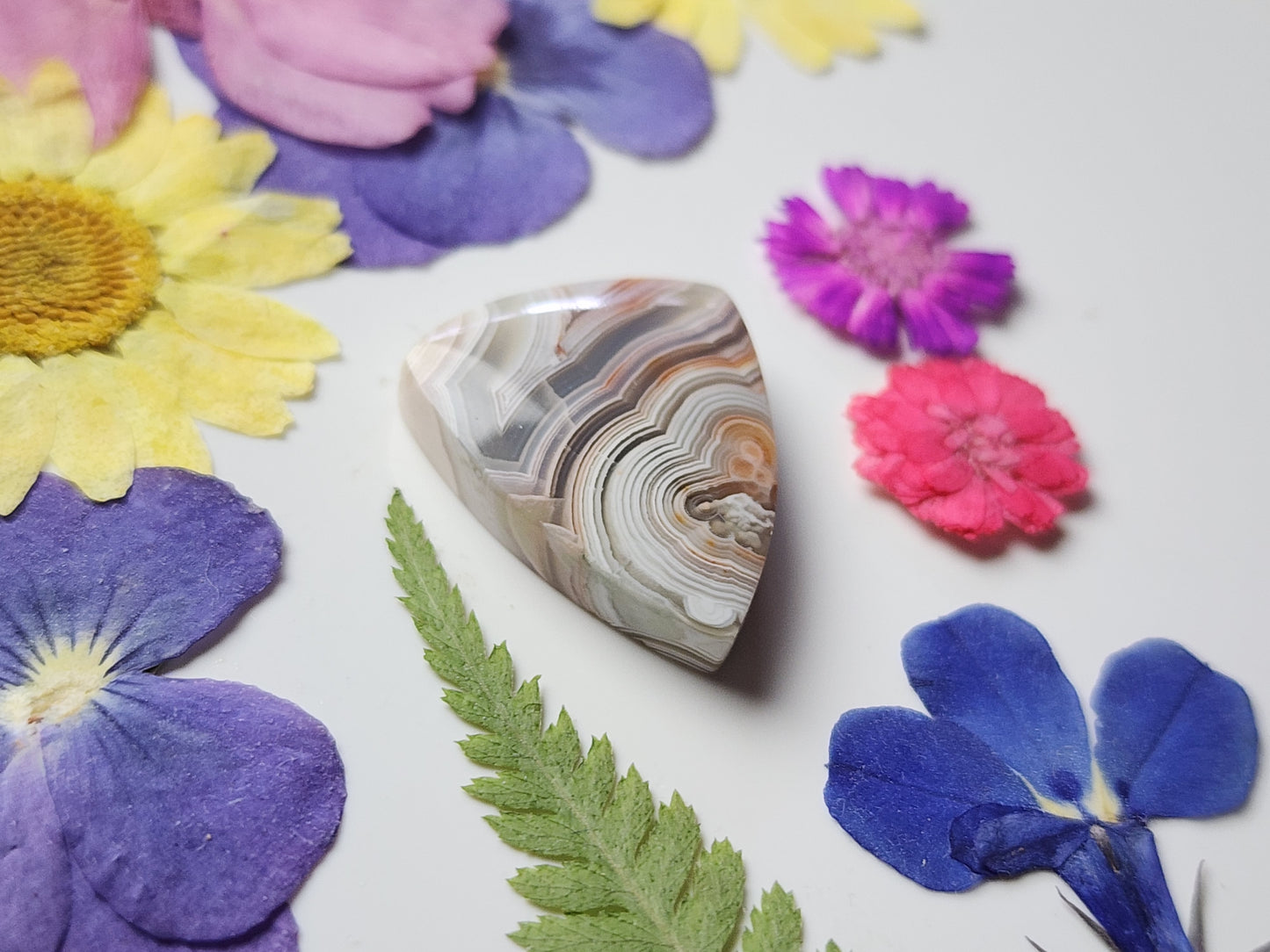 Laguna lace agate